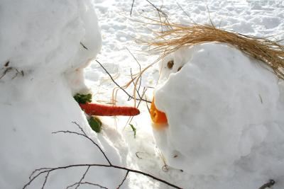 A Playful Guide to Building the Perfectly Naughty Snowman