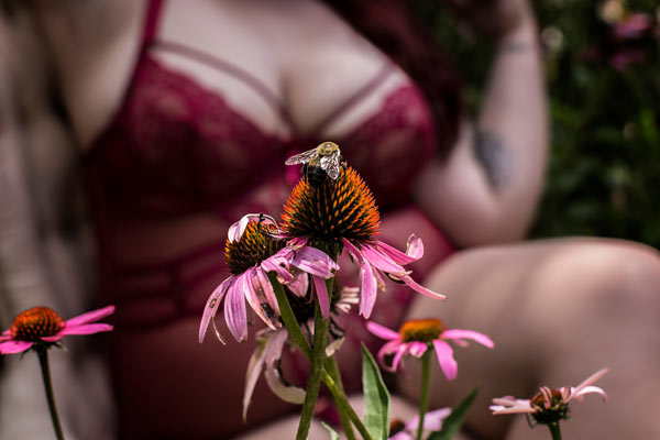 Bee on Wildflowers
